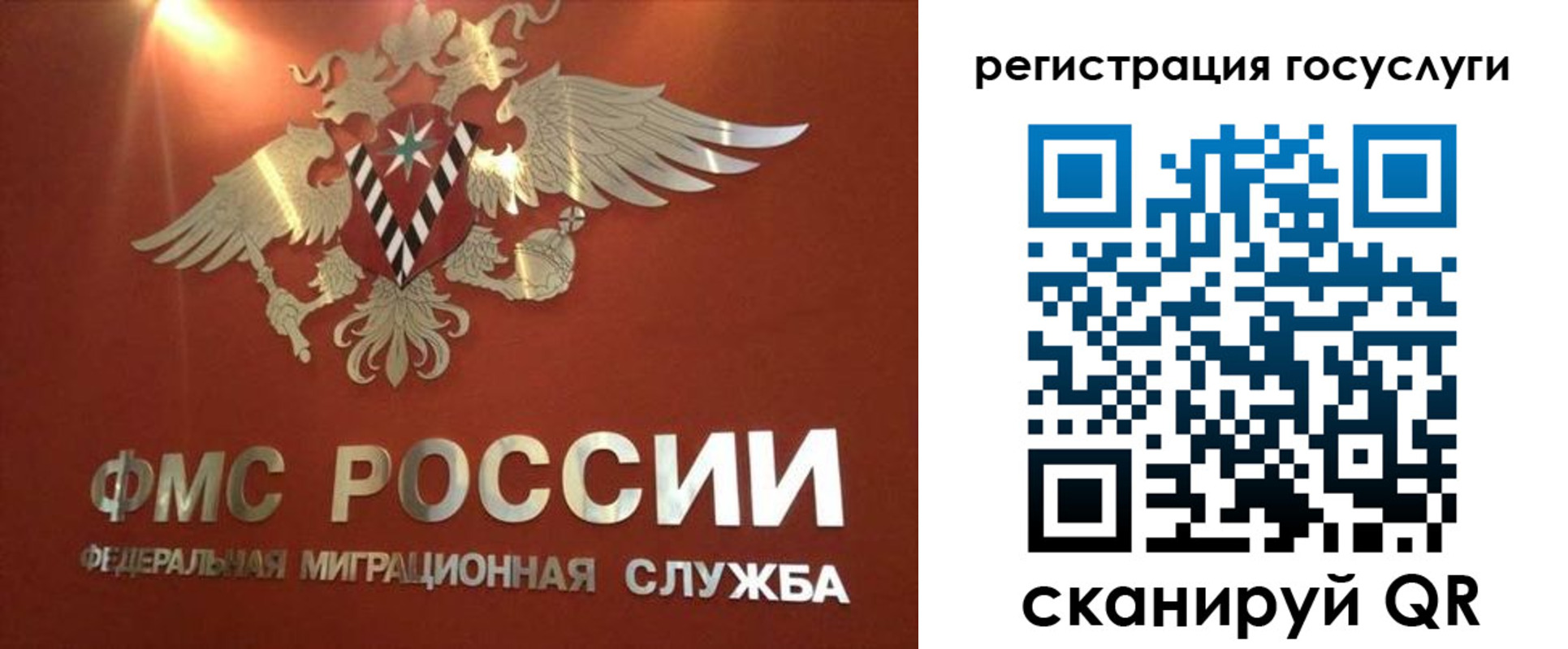 прописка ребенка в Щёлково